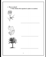 Untitled 1.pdf